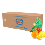 Helado Nestlé de Naranja-Piña 4.5 Lt