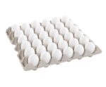 Pipe Polyethylene - Imagen 2